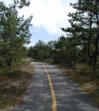 Trail through the woods