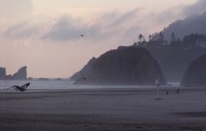 Late afternoon light with mist over big rocks in water off of beach