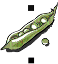 An open peapod