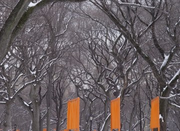 Orange gates under snow covered trees