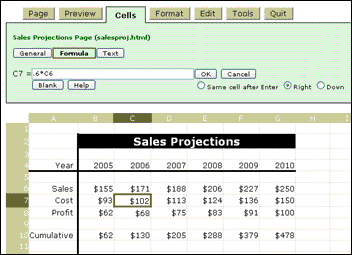 screen shot of the Cells tab editing a formula